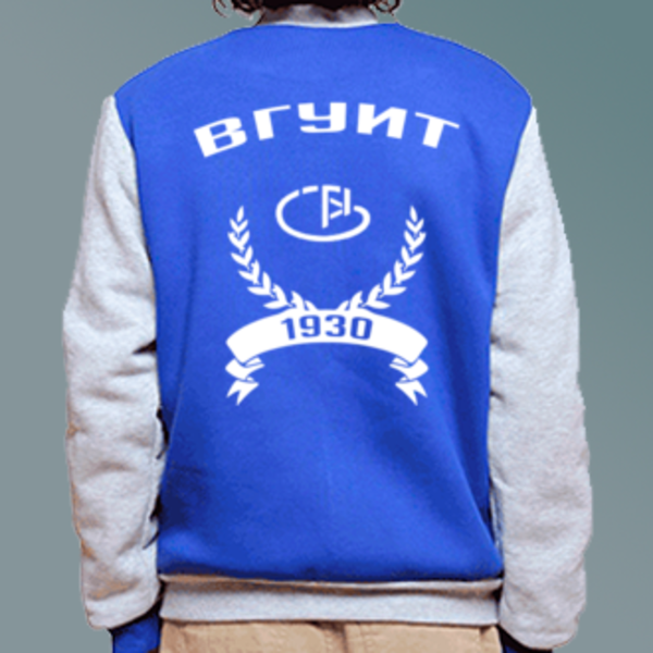 Бомбер с логотипом ВГУИТ Бомбер с логотипом Воронежский государственный университет инженерных технологий (ВГУИТ)