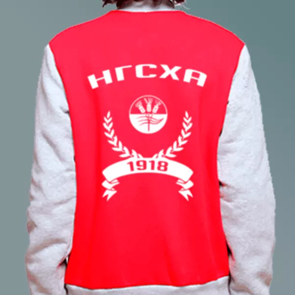 Бомбер с логотипом Нижегородская государственная сельскохозяйственная академия (НГСХА)
