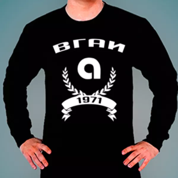 Свитшот с логотипом Воронежская государственная академия искусств (ВГАИ)