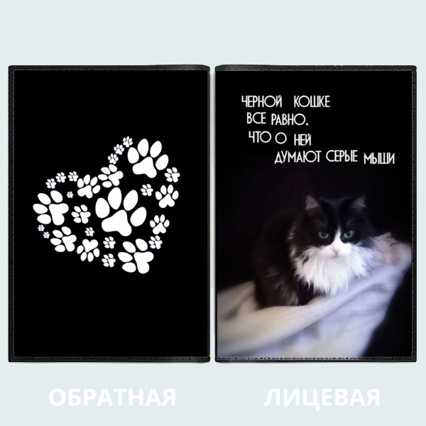 Дизайн студия черная кошка